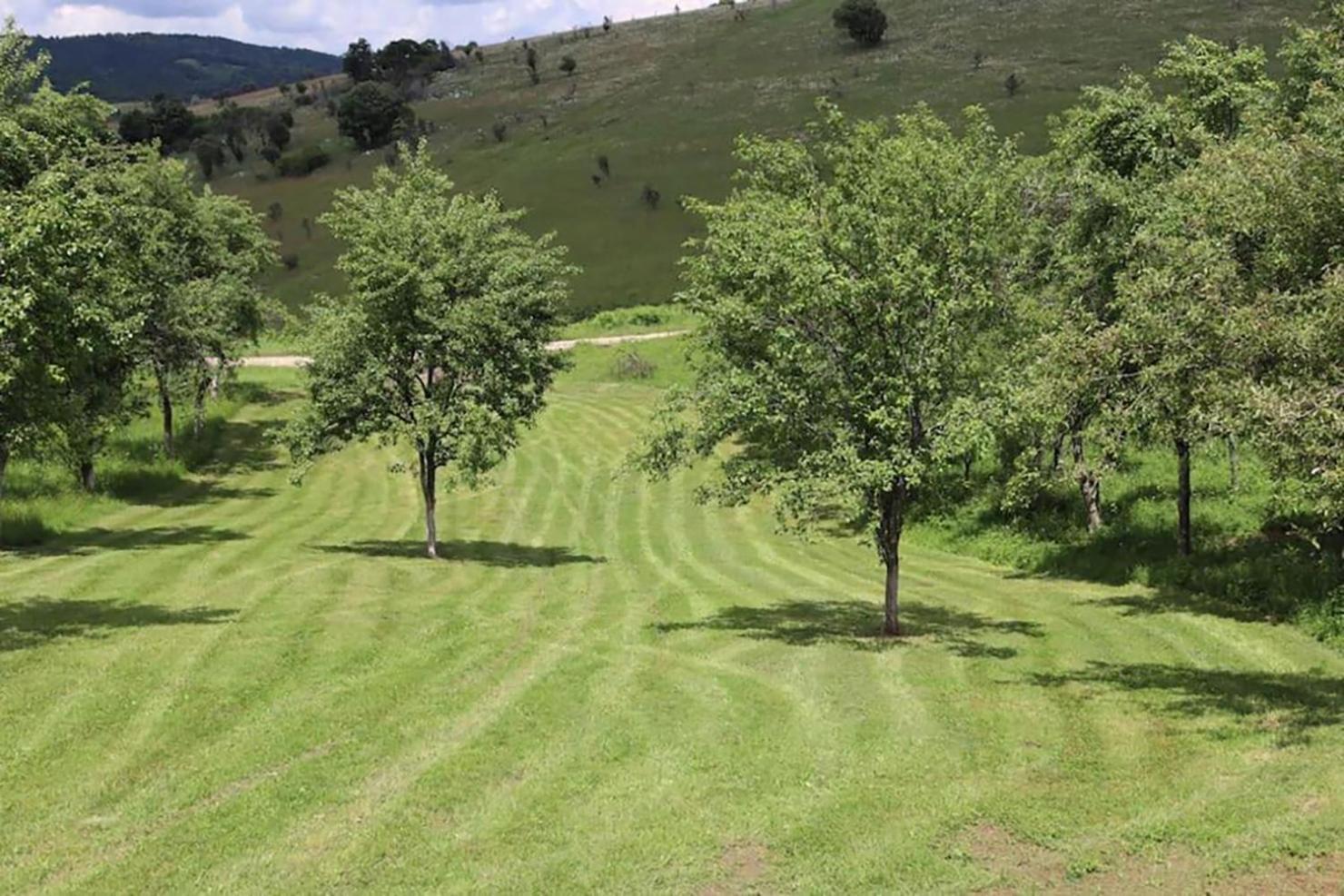 Salas U Bregu In Cheile Carasului Crasova Bagian luar foto